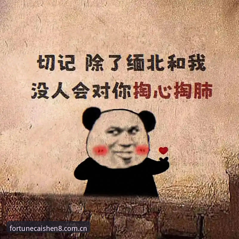 揭秘"好运有章法"APP下载背后，那些没人告诉你的细节